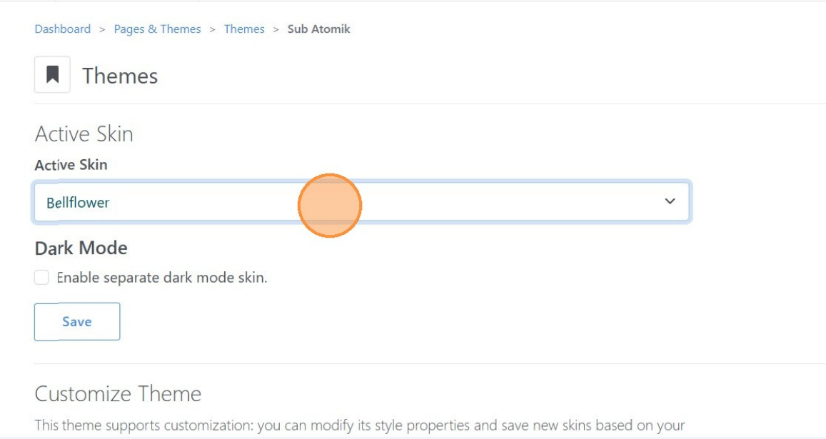 Ability to choose a Skin
